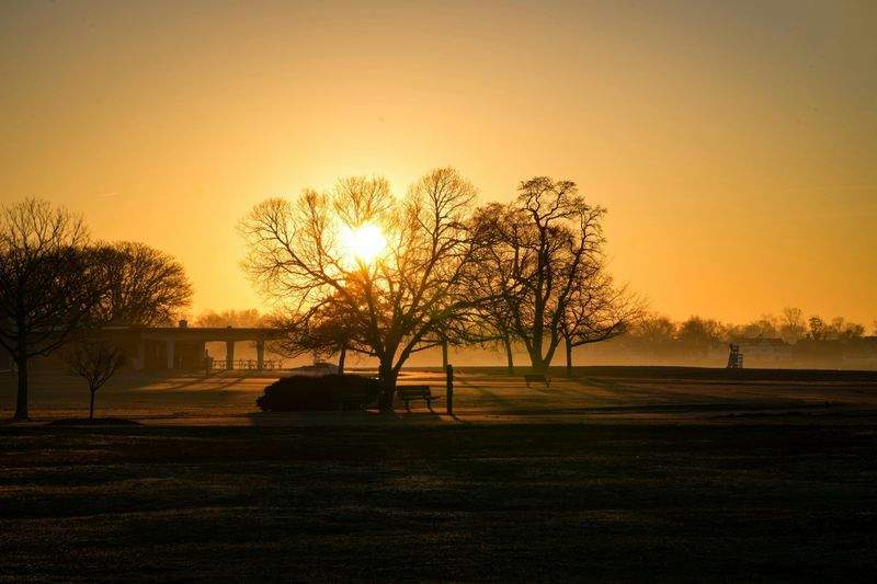 Consulenza nutrizionale